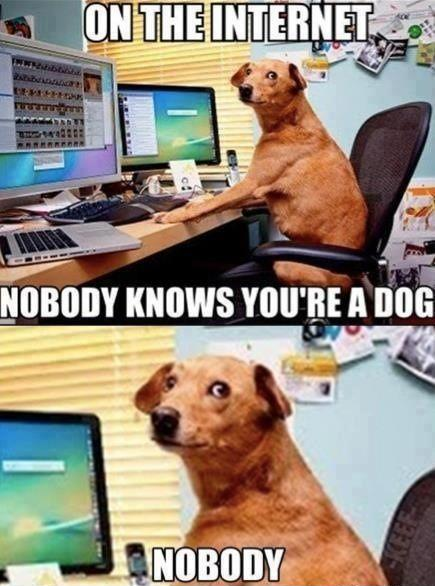 A meme depicting a dog using a computer. The meme reads &ldquo;On the internet, nobody knows you&rsquo;re a dog. Nobody.&rdquo;